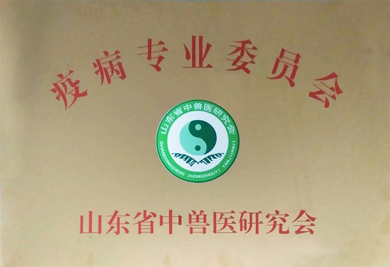 資質(zhì)榮譽